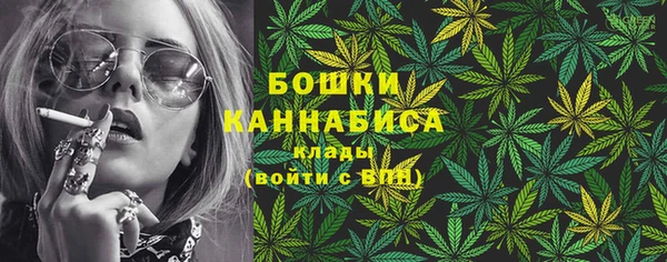 молекула духа Каменногорск