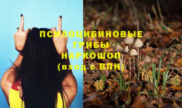 молекула духа Каменногорск