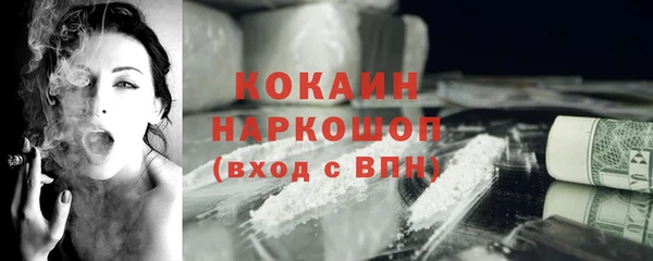 молекула духа Каменногорск