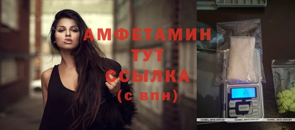 молекула духа Каменногорск