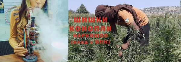 молекула духа Каменногорск