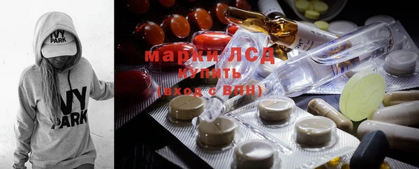 молекула духа Каменногорск