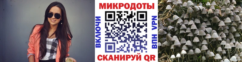 Псилоцибиновые грибы MAGIC MUSHROOMS  Купить где  Дмитриев 