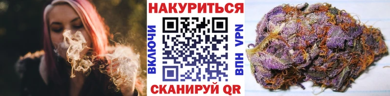 Купить где  Дмитриев  Канабис сатива 
